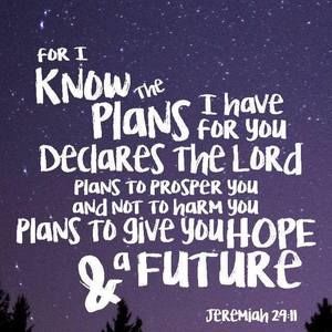 Meet your Posher, Gladys